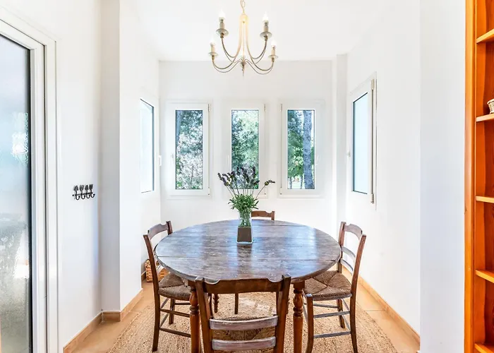 Palm Beachfront דירה *