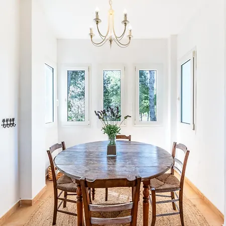 Palm Beachfront Διαμέρισμα *